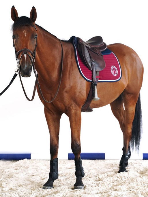 Tapis de selle Karembar CSO Rider Harcour Tapis de selle Karembar CSO Rider Harcour