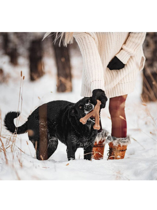 Jouet à mâcher Wishbone Benebone