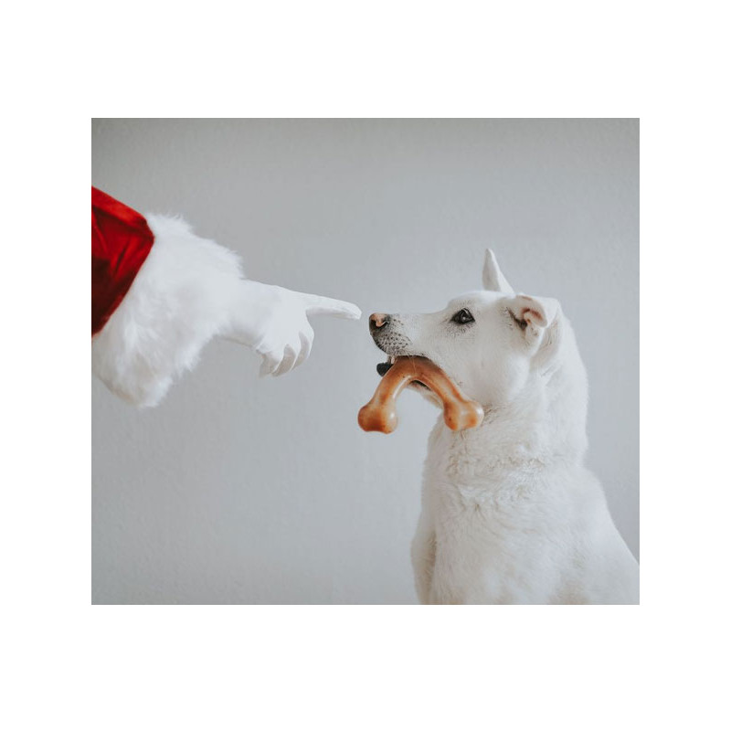 Jouet à mâcher Wishbone Benebone