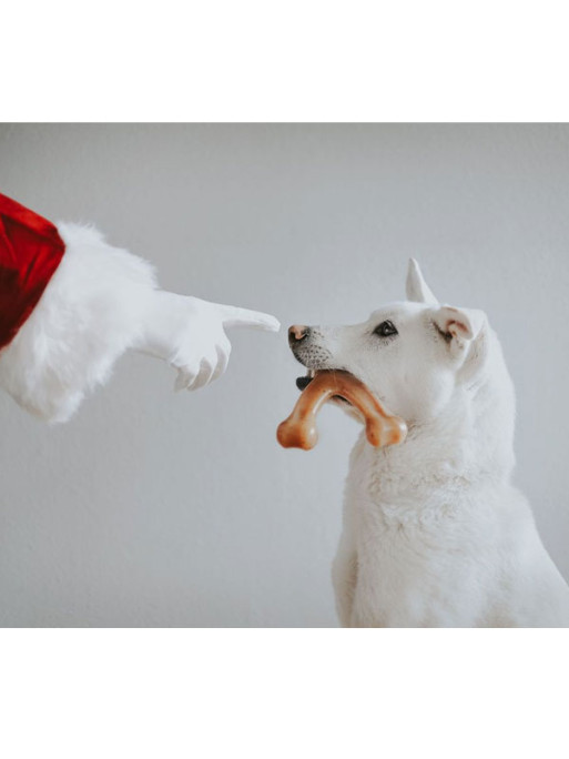 Jouet à mâcher Wishbone Benebone