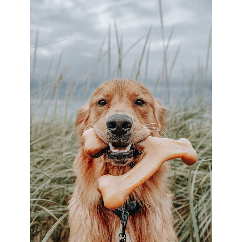 Jouet à mâcher Wishbone Benebone