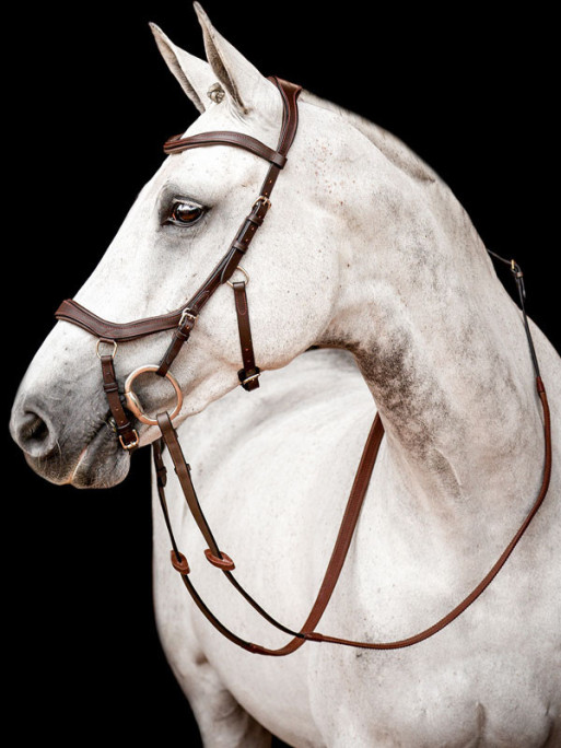 Bridon Micklem 2 compétition Horseware Bridon Micklem 2 compétition Horseware