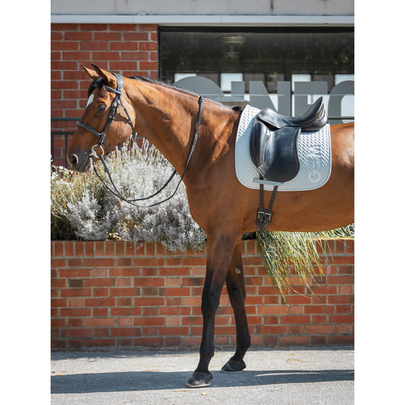 Tapis Ten obstacle GEM