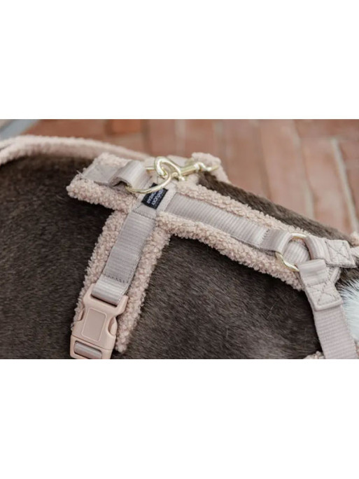 Harnais pour chien Active Teddy Fleece Kentucky
