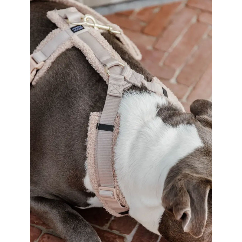Harnais pour chien Active Teddy Fleece Kentucky