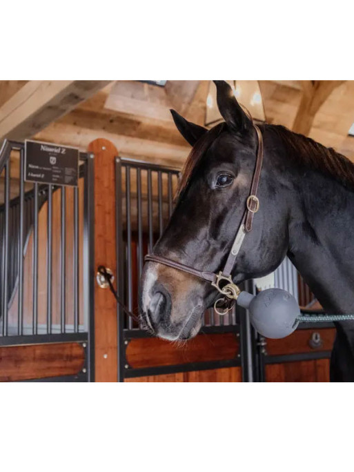 Balle de protection d'attache Kentucky Balle de protection d'attache Kentucky