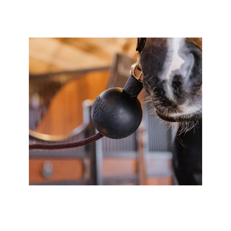 Balle de protection d'attache Kentucky