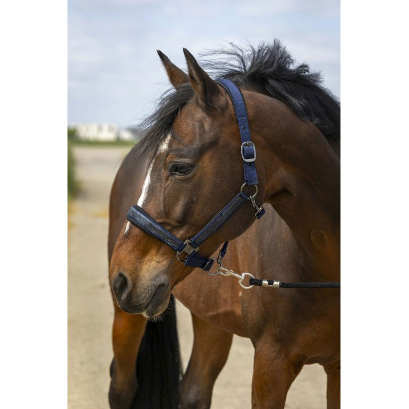 Licol nylon strass Equithème