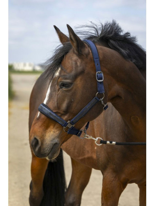 Licol nylon strass Equithème