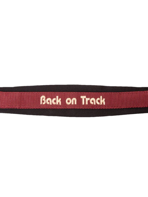 Licol Werano Back On Track
