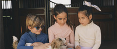 Polos, t-shirts