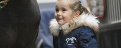Manteaux, vestes, parkas